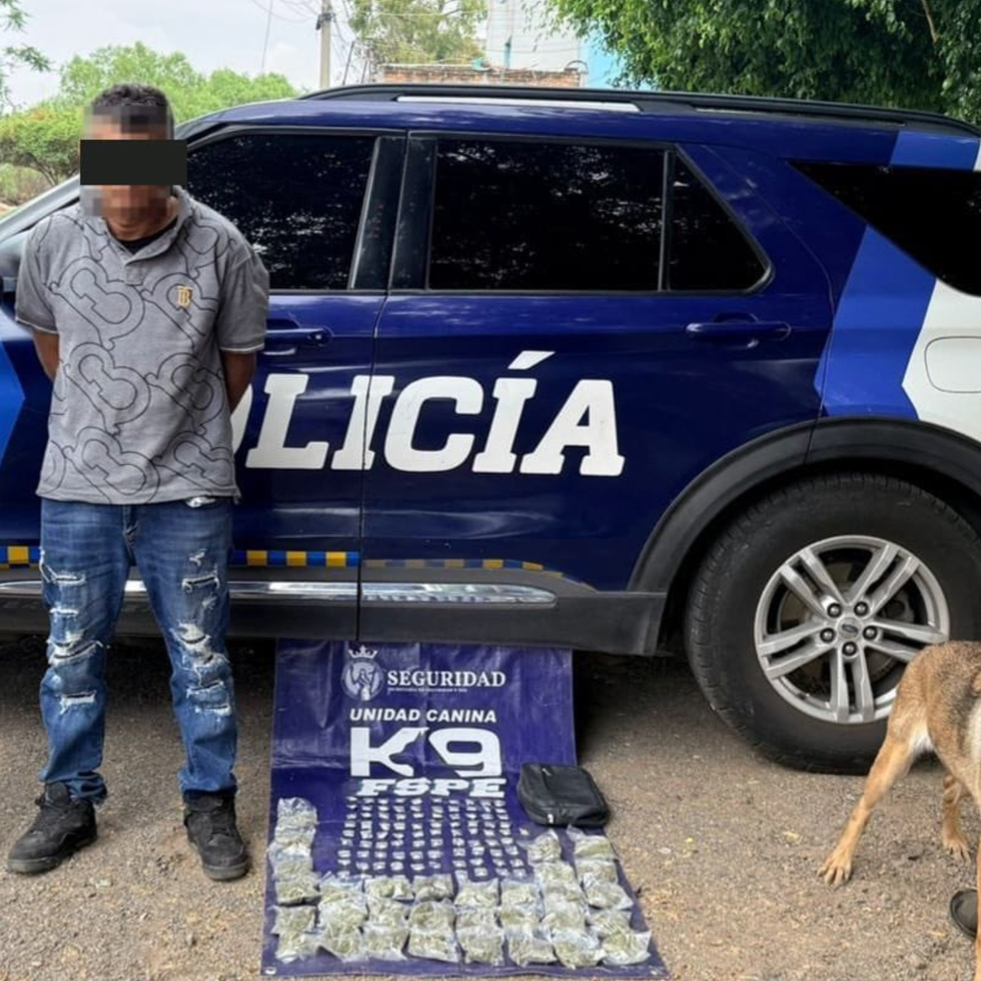 La unidad canina ayudó en el hallazgo de la droga.